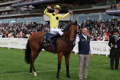 Bow Echo retired: Unbeaten superstar colt’s career cut short