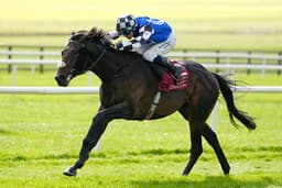 Bellewstown race abandoned after jockey taken to hospital