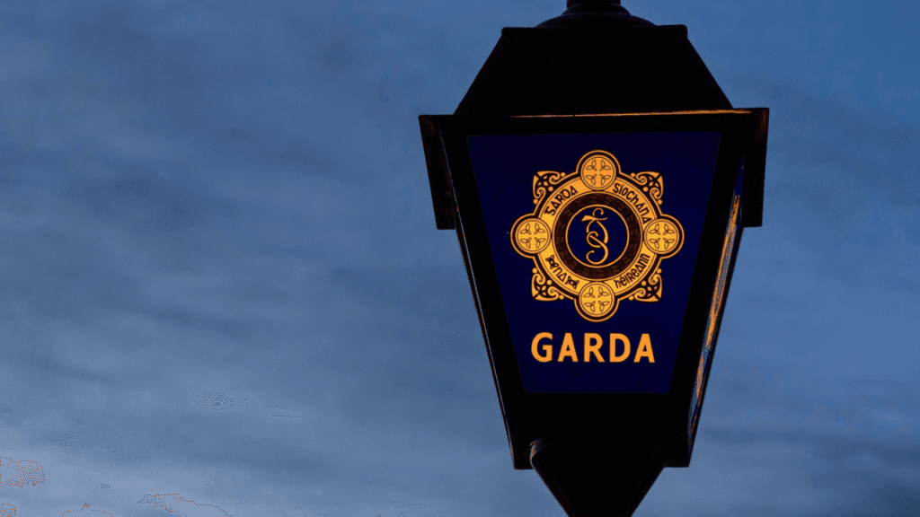 Investigation launched after man, 30s, dies in Garda custody