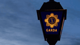 Investigation launched after man, 30s, dies in Garda custody