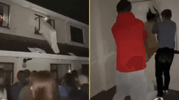 Gardaí investigate after Limerick house destroyed during ‘student party’