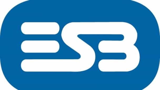 New ESB chief to receive €318,000 salary New ESB chief to receive €318,000 salary
