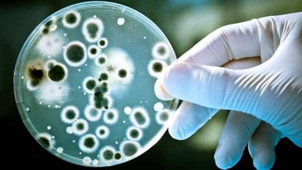 New data shows most cancers are caused by treatable and preventable infections New data shows most cancers are caused by treatable and preventable infections