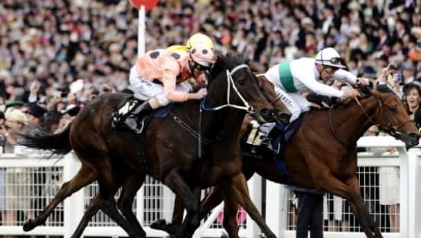 Video: Strewth! That was a close call for Black Caviar at Royal Ascot Video: Strewth! That was a close call for Black Caviar at Royal Ascot