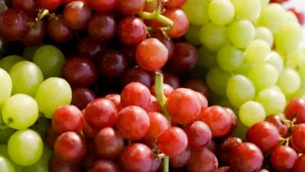 Forget apples, a few grapes should keep the doctor away Forget apples, a few grapes should keep the doctor away
