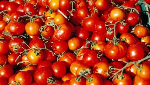 Eating tomatoes could help reduce stroke risk in men Eating tomatoes could help reduce stroke risk in men