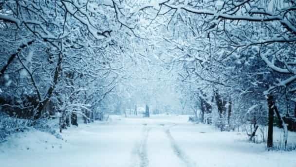 A few pictures showing just how bloody cold it is today A few pictures showing just how bloody cold it is today