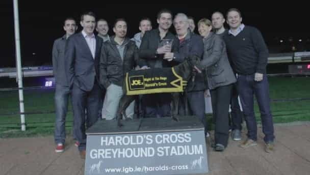 Gallery: JOE at Harold’s Cross Greyhound Stadium Gallery: JOE at Harold’s Cross Greyhound Stadium