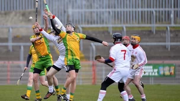 Unexpected guest during the clash of Donegal and Tyrone Unexpected guest during the clash of Donegal and Tyrone