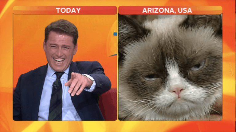 Video: Aussie newsreader loses it during interview with Grumpy Cat Video: Aussie newsreader loses it during interview with Grumpy Cat