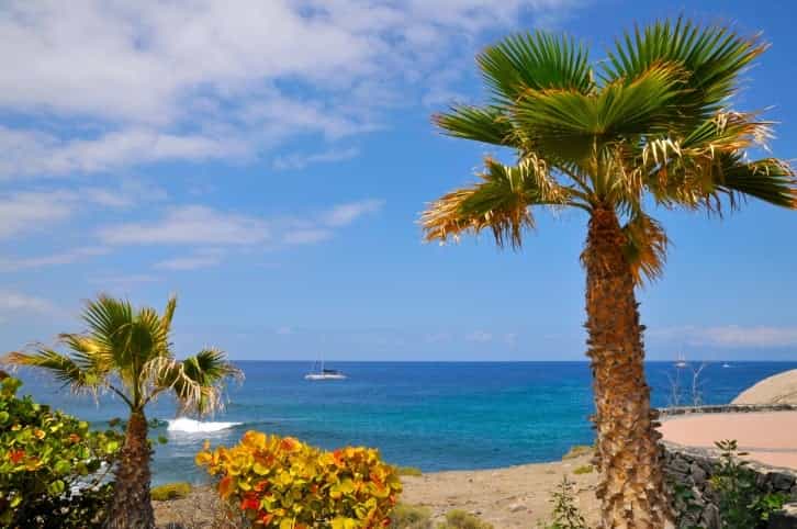 JOE travel: 5 reasons to you should DEFINITELY visit Tenerife JOE travel: 5 reasons to you should DEFINITELY visit Tenerife