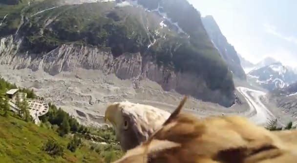 Video: This is what you call a bird’s-eye view Video: This is what you call a bird’s-eye view