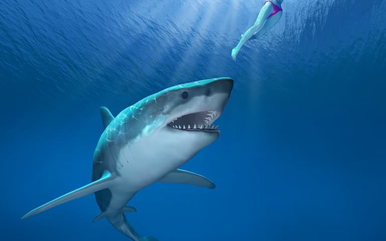 Maths says you are more likely to be bitten by Luis Suarez than a shark Maths says you are more likely to be bitten by Luis Suarez than a shark