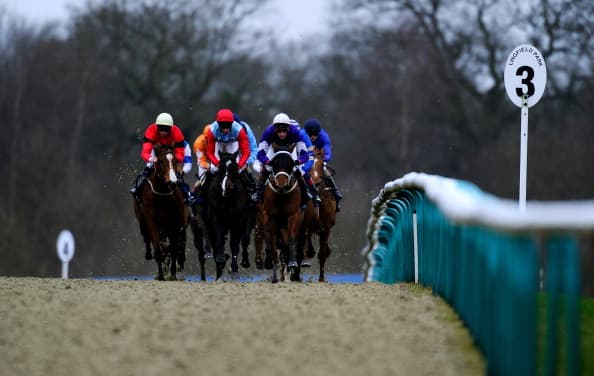 Keep an eye on today’s racing for possible betting coup Keep an eye on today’s racing for possible betting coup