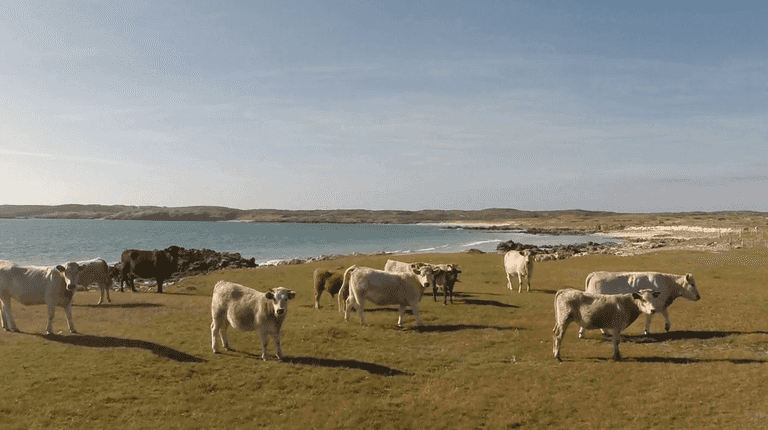 Video: You’d swear this was shot near the South of France & not the West Coast of Ireland… Video: You’d swear this was shot near the South of France & not the West Coast of Ireland…