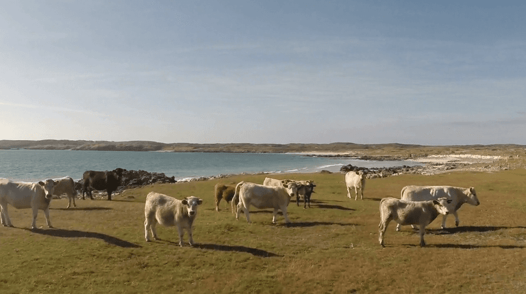 Video: You’d swear this was shot near the South of France & not the West Coast of Ireland… Video: You’d swear this was shot near the South of France & not the West Coast of Ireland…