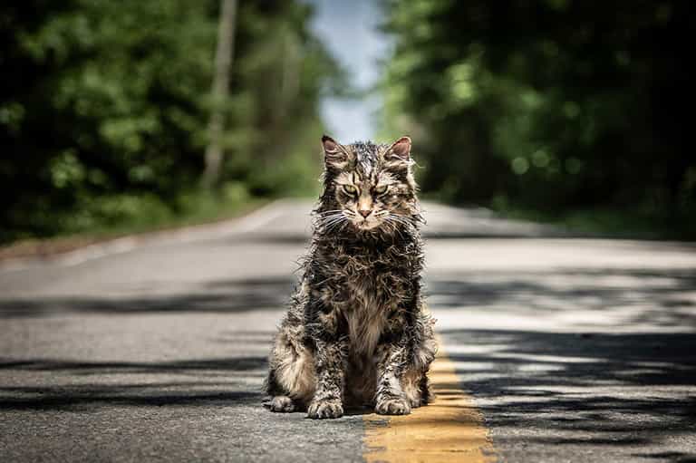 #TRAILERCHEST: The latest trailer for Pet Sematary sets us up for some major scares #TRAILERCHEST: The latest trailer for Pet Sematary sets us up for some major scares