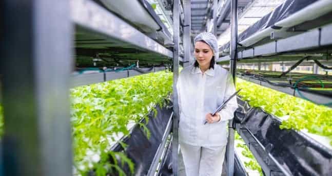 Why precision nutrition could influence what the farm of 2050 looks like Why precision nutrition could influence what the farm of 2050 looks like