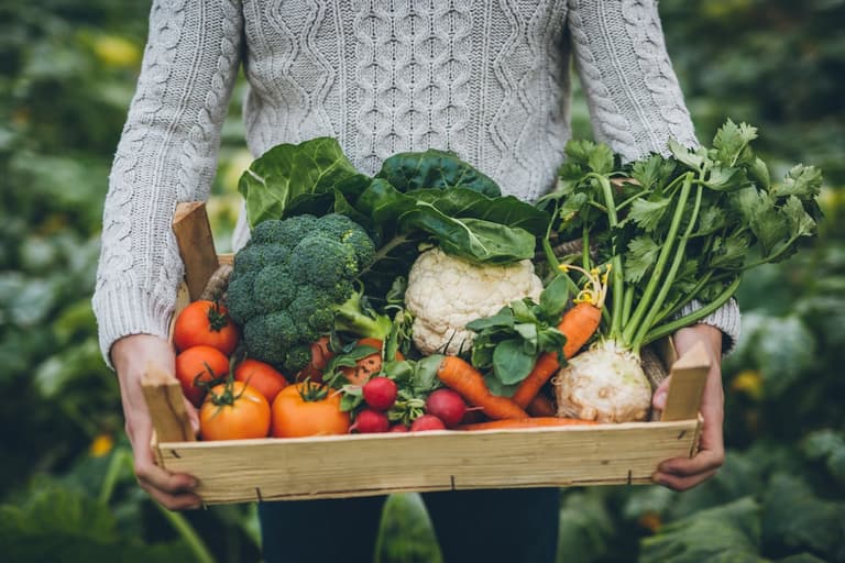 Why self-sufficiency is the way forward during the Covid-19 crisis Why self-sufficiency is the way forward during the Covid-19 crisis