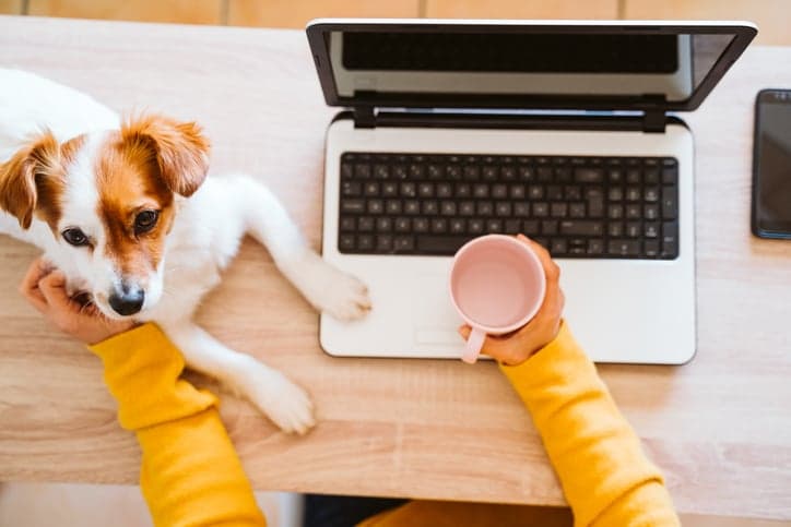 New survey reveals “resounding demand” for Irish employees to continue working from home on an ongoing basis New survey reveals “resounding demand” for Irish employees to continue working from home on an ongoing basis
