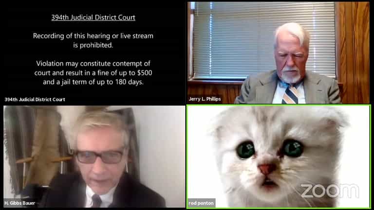 “I am not a cat” – Texas lawyer turns on kitten filter during court Zoom, and can’t switch it off “I am not a cat” – Texas lawyer turns on kitten filter during court Zoom, and can’t switch it off