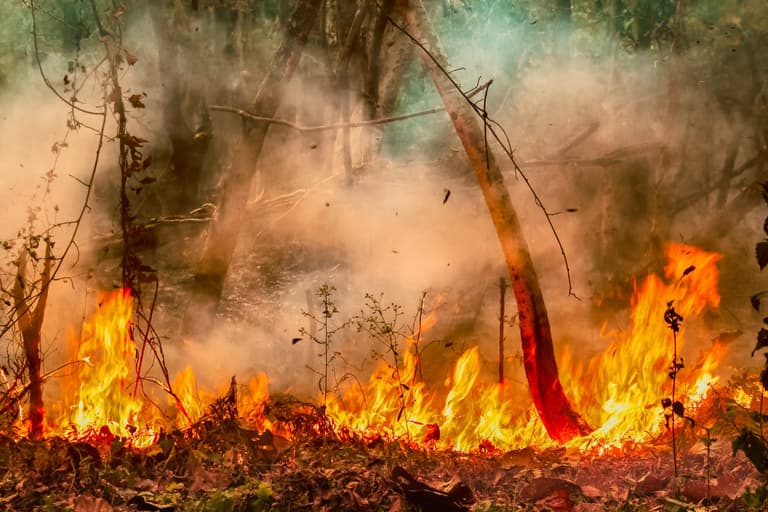 Government issues high fire risk warning to entire country Government issues high fire risk warning to entire country