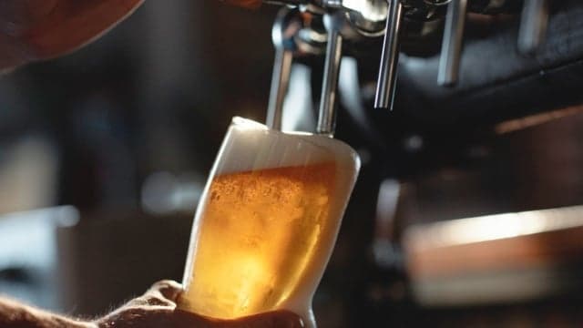 Nightlife sector asks for two-week grace period on implementing guidelines Nightlife sector asks for two-week grace period on implementing guidelines