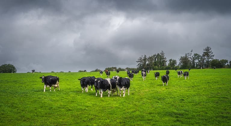Farmers to be asked to cut carbon emissions by 25% after Government deal Farmers to be asked to cut carbon emissions by 25% after Government deal