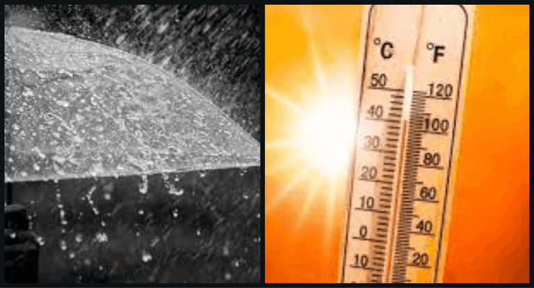 Electric Picnic weekend weather will be hot and wet Electric Picnic weekend weather will be hot and wet