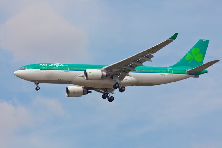 Aer Lingus passengers facing delays due to major IT outage Aer Lingus passengers facing delays due to major IT outage