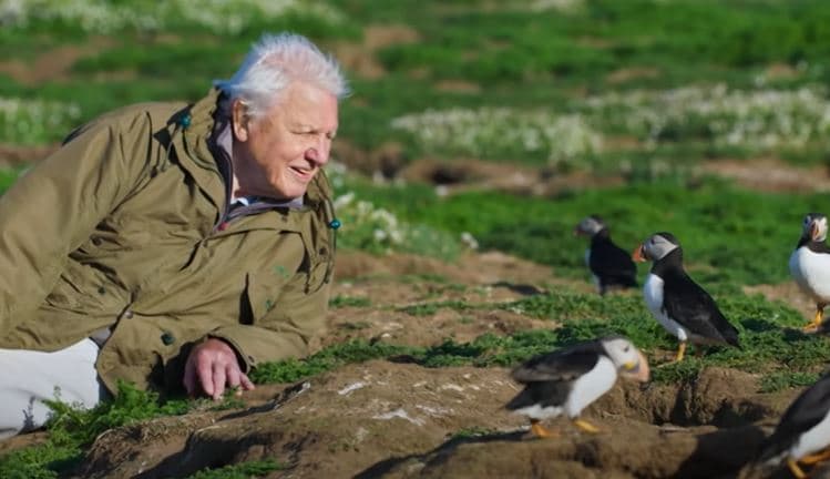 David Attenborough’s new show is likely to be his last on location David Attenborough’s new show is likely to be his last on location