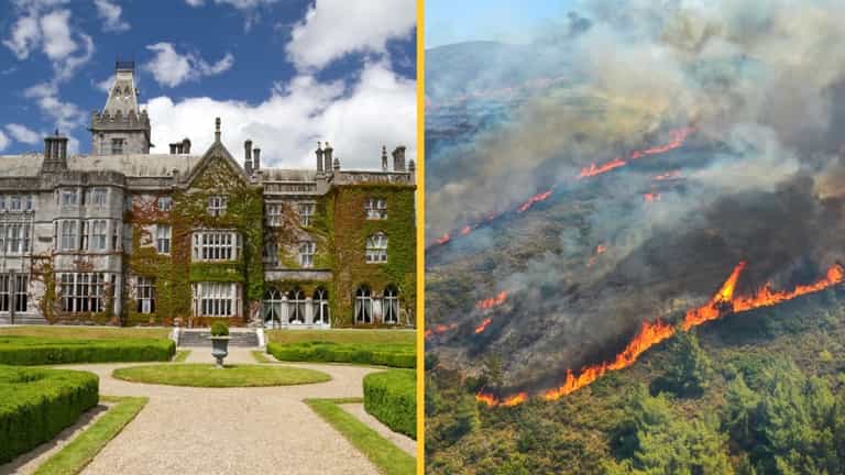 Irish hotels see spike in bookings and prices following Mediterranean wildfires Irish hotels see spike in bookings and prices following Mediterranean wildfires