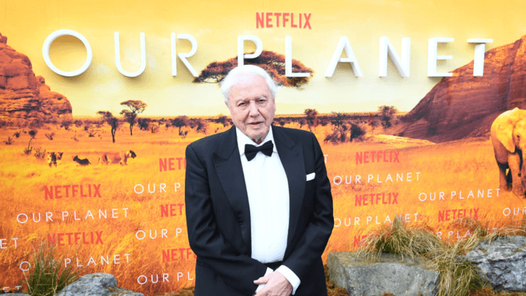 David Attenborough to return with new TV series at 97 years old David Attenborough to return with new TV series at 97 years old