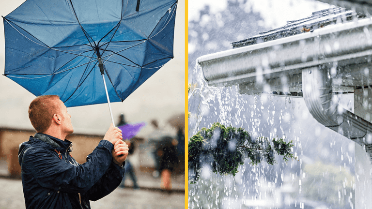 Several weather warnings issued for ‘heavy rain’ and ‘very strong winds’ Several weather warnings issued for ‘heavy rain’ and ‘very strong winds’