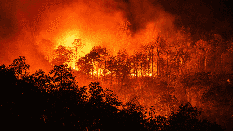 “Near certainty” that 2023 will be hottest year on record, say EU scientists “Near certainty” that 2023 will be hottest year on record, say EU scientists