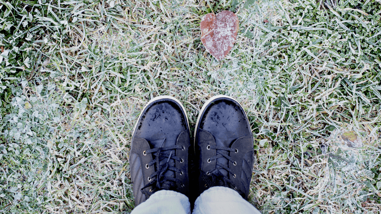 Met Éireann pinpoints return of frost as temperature set to drop this week Met Éireann pinpoints return of frost as temperature set to drop this week