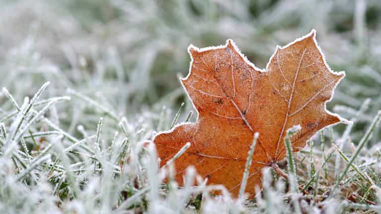 Met Éireann issue weather warning for 23 counties as big freeze approaches Met Éireann issue weather warning for 23 counties as big freeze approaches
