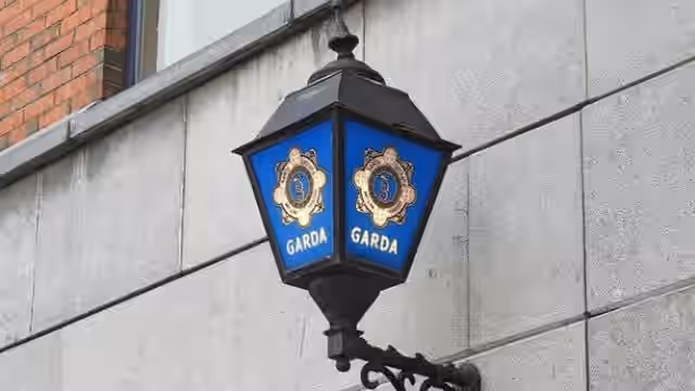 Man, 90s, dies in County Laois crash Man, 90s, dies in County Laois crash