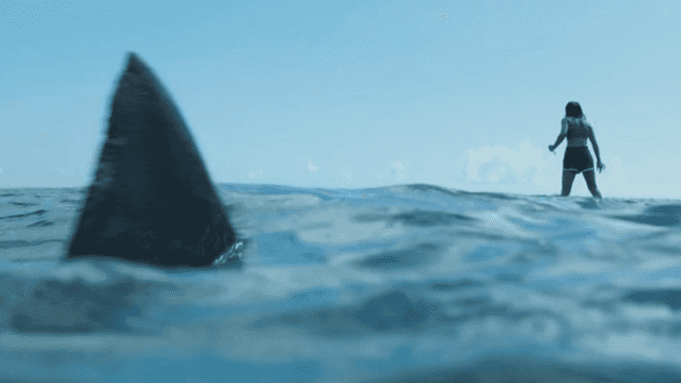 Netflix has just added a new shark movie perfect for Under Paris fans Netflix has just added a new shark movie perfect for Under Paris fans