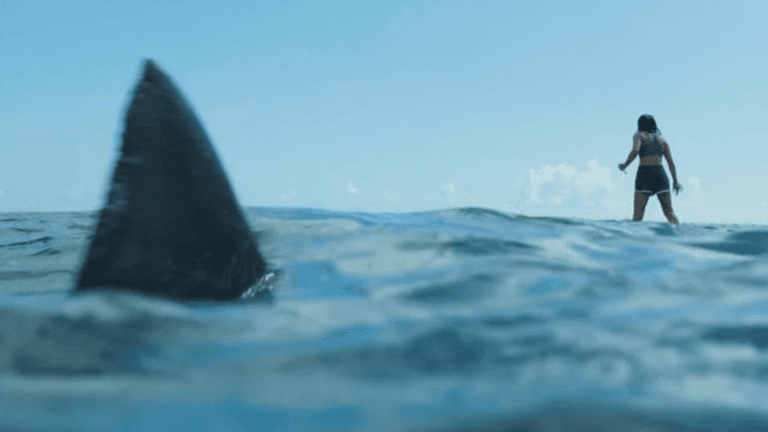 A fun shark thriller movie is airing on TV tonight A fun shark thriller movie is airing on TV tonight