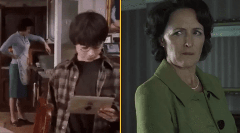Harry Potter fans are just realising what Aunt Petunia is doing in kitchen scene Harry Potter fans are just realising what Aunt Petunia is doing in kitchen scene