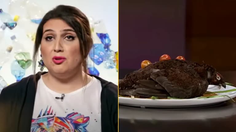 MasterChef contestant was kicked off show for serving judges fully feathered dead bird MasterChef contestant was kicked off show for serving judges fully feathered dead bird