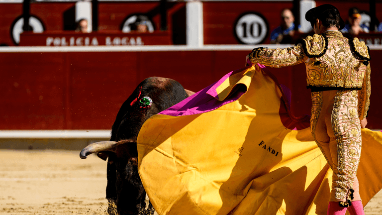 Heartbreaking final words of matador gored to death by bull revealed Heartbreaking final words of matador gored to death by bull revealed