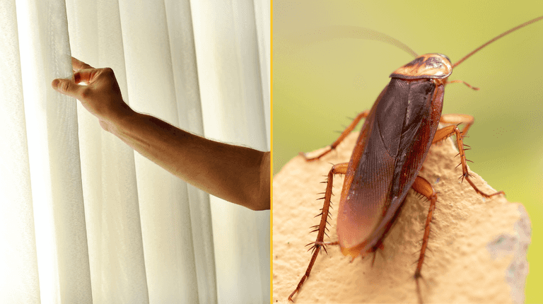 People warned to keep curtains closed this evening People warned to keep curtains closed this evening