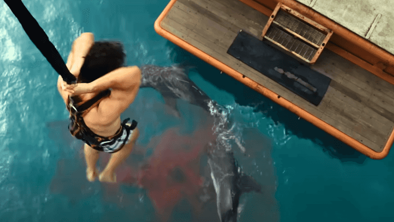 A brilliant shark thriller with a twist is available to watch now A brilliant shark thriller with a twist is available to watch now