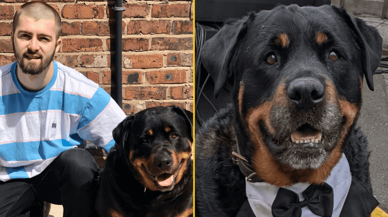 Gogglebox family announce heartbreaking death as tributes flood in Gogglebox family announce heartbreaking death as tributes flood in