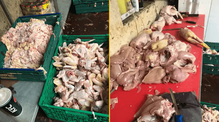 Two men jailed for conspiracy to sell meat meant for pet food to shoppers Two men jailed for conspiracy to sell meat meant for pet food to shoppers