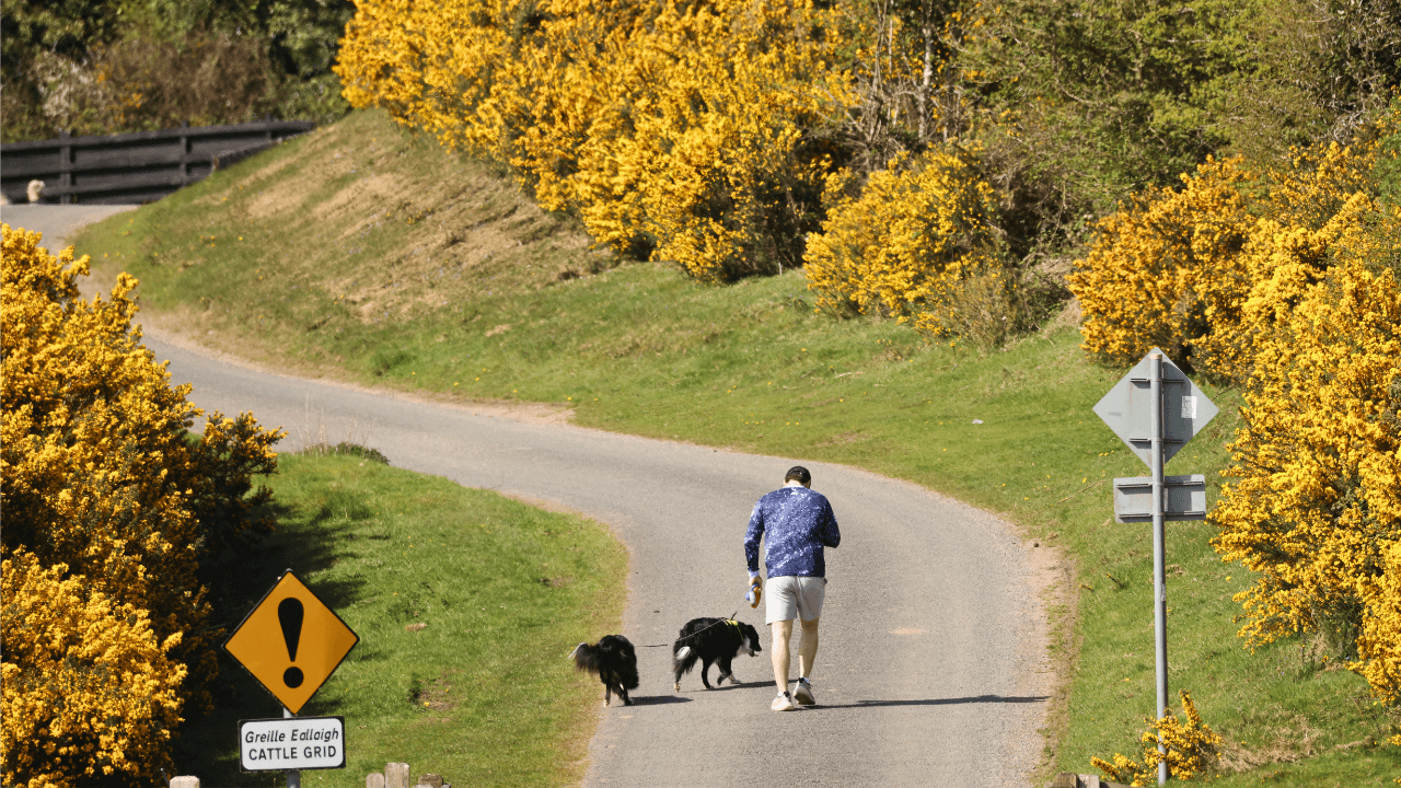 Weather experts reveal what day Ireland’s heatwave is set to pass