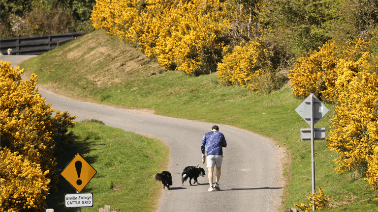 Weather experts reveal what day Ireland’s heatwave is set to pass Weather experts reveal what day Ireland’s heatwave is set to pass