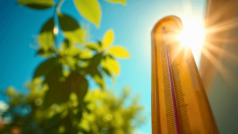 Temperatures in Ireland to soar this week as orange fire warning issued Temperatures in Ireland to soar this week as orange fire warning issued